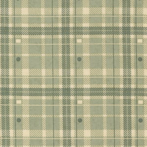 Acorn Hollow Sage 30764 20 by Basic Grey for Moda