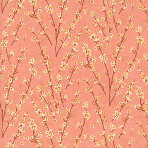 Acorn Hollow Apple 30765 17 by Basic Grey for Moda