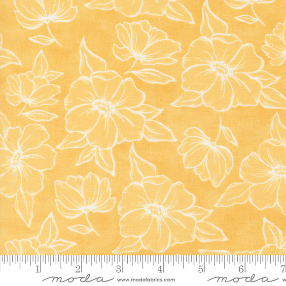 Kindred Sunshine 36072 17 by 1canoe2 for Moda