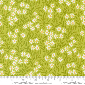 Kindred Meadow 36073 15 by 1canoe2 for Moda