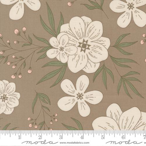 Potted Star Bloom Ash by Kiley's Quilt Room for Moda