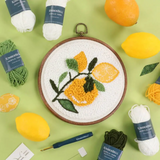 You're the Zest Punch Needle Embroidery Kit from Kimberbell