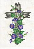 Western Cross Morning Glories and Hummingbirds- Designs by Tana